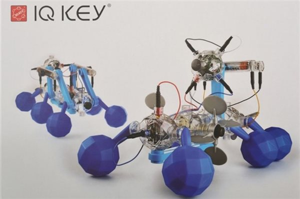 IQ Key og Capsela