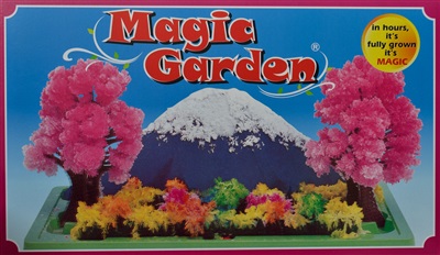 Den magiske have