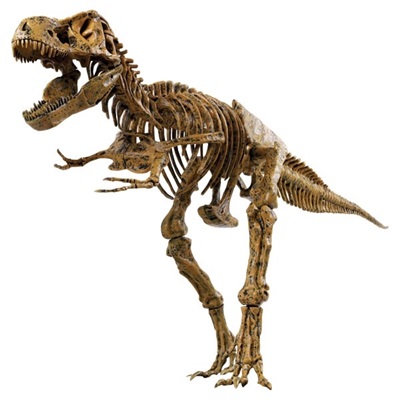 K&#xE6;mpe Tyrannosaurus Rex - 51 dele