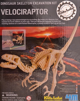 Velociraptor dinosaur