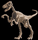 Udgrav Velociraptor skelet